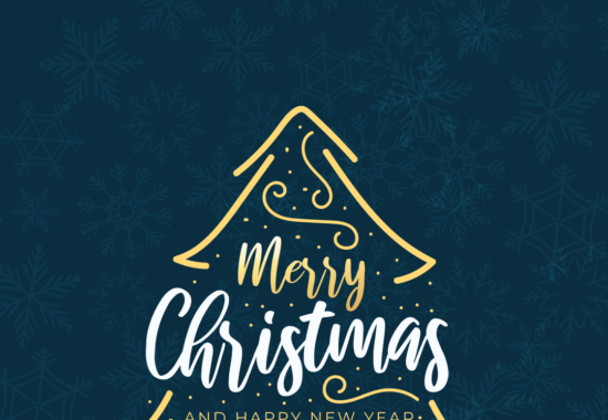 Happy New Year and Christmas!
